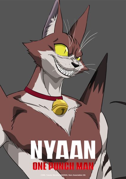 File:One Punch Man 3rd CV17.jpg