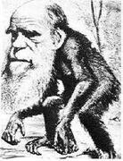 《達爾文是猴子變的》