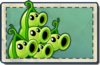 Pea Pod Seed Packet.png