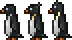 Penguin black 2.webp