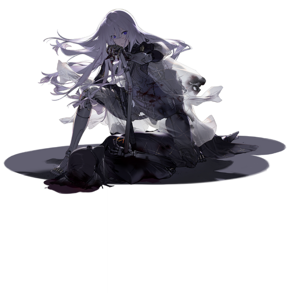 File:Pic AK12Mod D.png