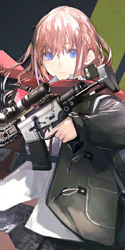 Pic AR15 701 N.png