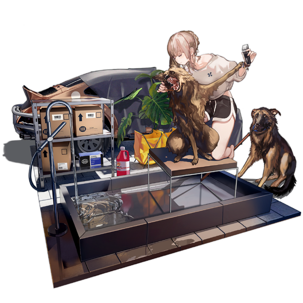 File:Pic SCARL 30005.png