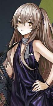 Pic UMP45 2107 N.png