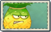 Pineapple Seed Packet.png