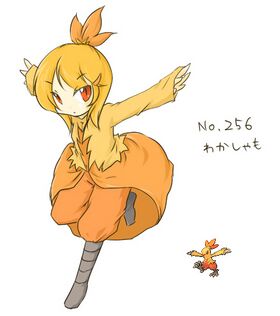 Pokemon Combusken Girl.jpg
