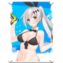 Poster FN57 swimsuit.png