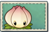 Power Lily Seed Packet.png