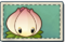 Power Lily Seed Packet.png