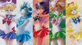Pretty Guardian Sailor Moon Heros.jpg