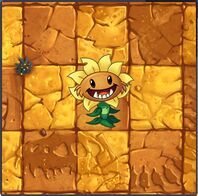 Primal Sunflower Almanac.jpg