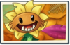 Primal Sunflower Newer Seed Packet.png