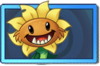 Primal Sunflower Rare Seed Packet.png