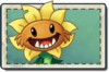 Primal Sunflower Seed Packet.png