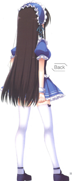 File:Rin2013Back.png