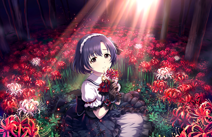 SSR［手摺られぬ花］白菊ほたる+.png