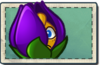 Shrinking Violet Seed Packet.png