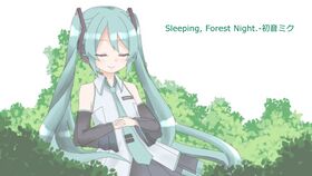 Sleeping, Forest Night..jpg