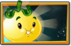 Solar Tomato Newer Premium Seed Packet.png