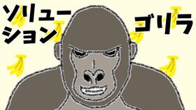 Solution Gorilla.jpg