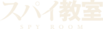Spyroom Logo2.png
