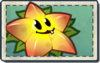 Starfruit Seed Packet.png
