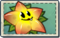 Starfruit Seed Packet.png