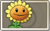 Sunflower Common Seed Packet.png
