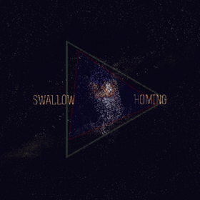 Swallow Homing.png