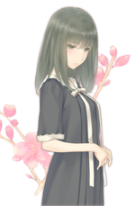 Takasaki chidori 02.png