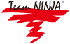 Team Ninja Logo.svg
