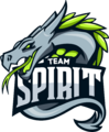 Team Spirit（PUBG）