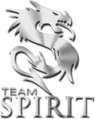 Team Spirit（DOTA2/旧）