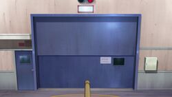 The Automatic Door Which Rukuriri Met in the TV.jpg