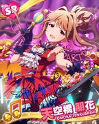 Tomoka SR9.jpg