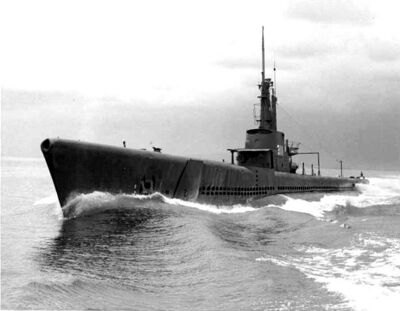 USS Archerfish;0831110.jpg