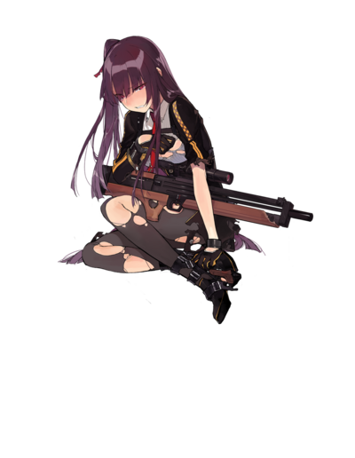 WA2000 D.png