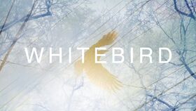 White bird.jpg